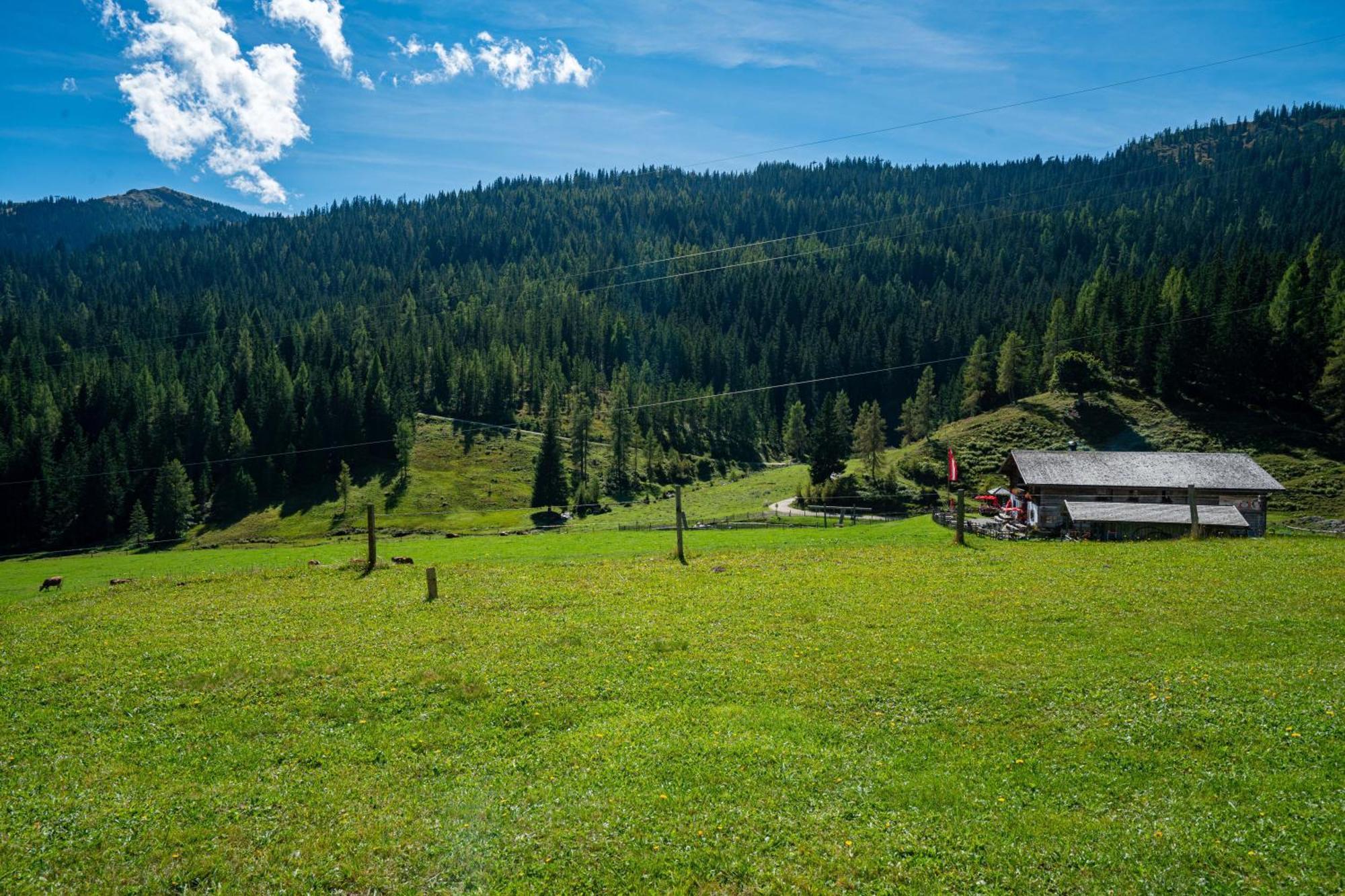 Mittereggalm Hotel Mühlbach am Hochkönig Eksteriør billede